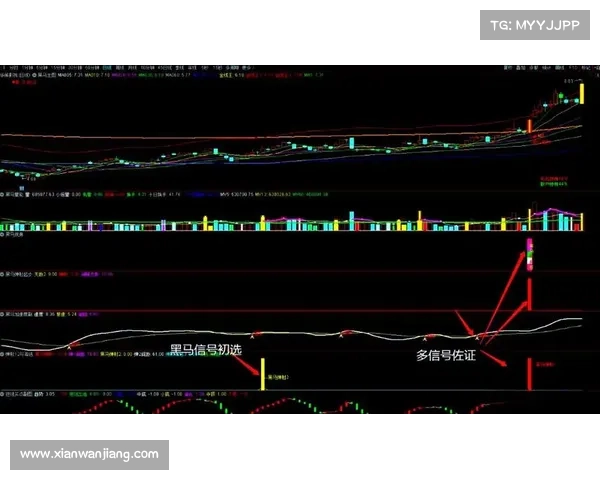 黑马预测引领市场新趋势揭秘行业潜力股崛起的关键因素与前景分析 黑马预测引领市场新趋势揭秘行业潜力股崛起的关键因素与前景分析